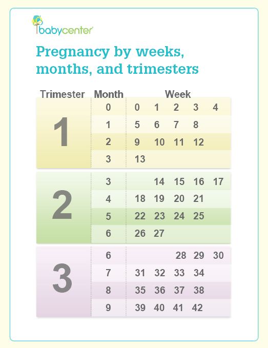 trimester-month-chart